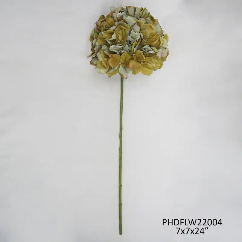 Late Season Green Hydrangea Stem