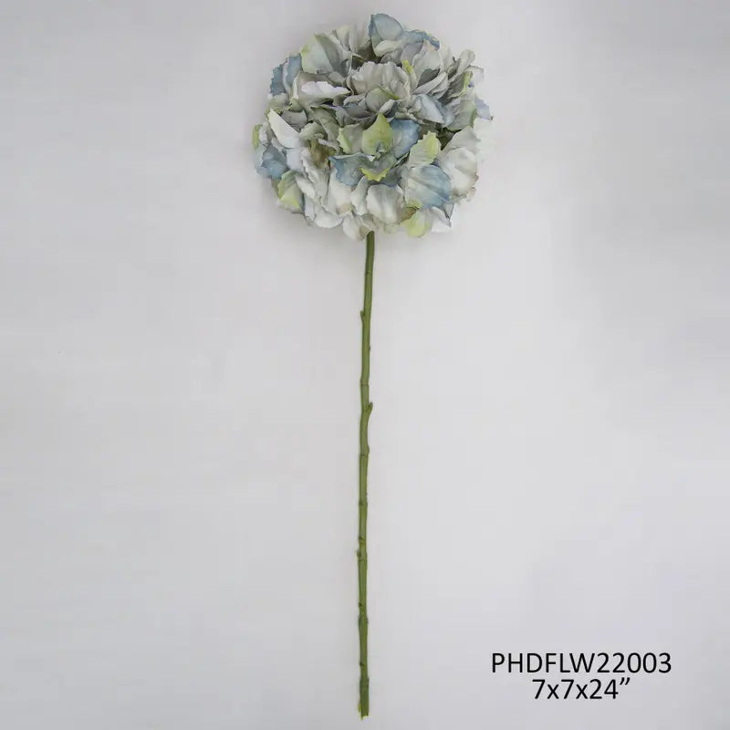 Late Season Blue Hydrangea Stem