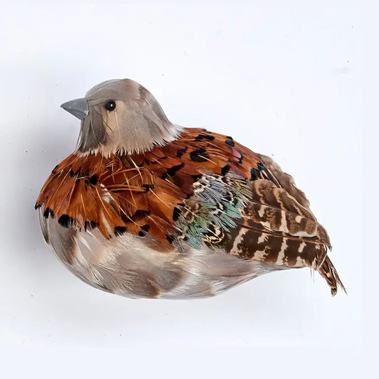 Patridge Bird