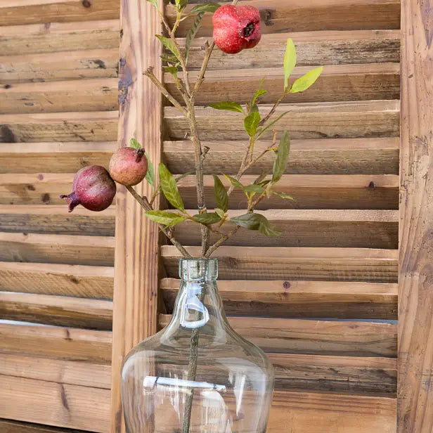 Pomegranate Cutting Stem