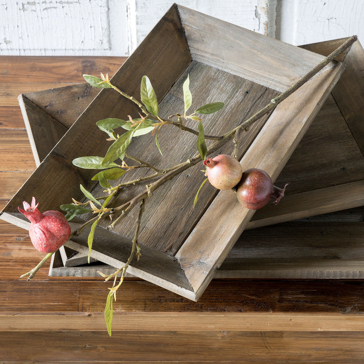 Pomegranate Cutting Stem